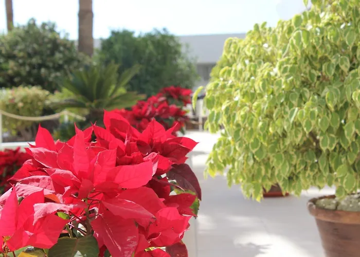 Club Mar - First Line With Sea View أذيخي