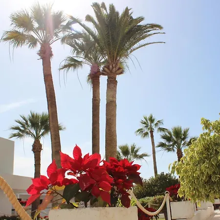 Club Mar - First Line With Sea View Costa Adeje (Tenerife)